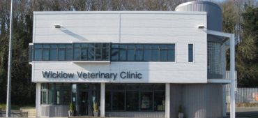 Wicklow Veterinary Clinic